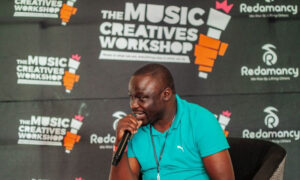 Partnership initiative boosts emerging artists’ development in Mpumalanga